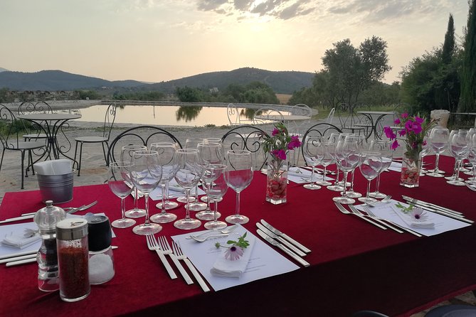 Food and Wine pairing Dinner at Karnas Vineyards Bodrum - The cellar tour and the story of Karnas