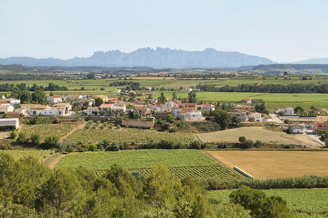Food and Wine Small Group Tour from Barcelona - Maximum 8 people - The guide makes the difference