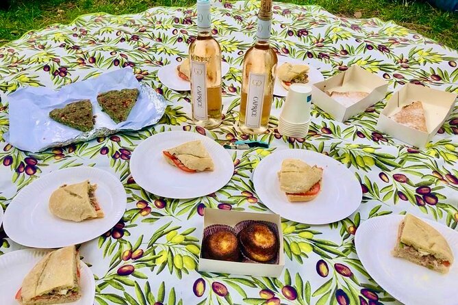 Food & Wine Lovers Tour of Nice Local Markets and Best Shops - The Castle Hill picnic is the payoff
