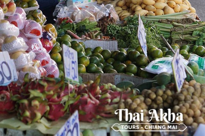 Fresh Local Market Tour - Food tour in Chiang Mai - Lunch in the city park from 11:00 a.m. to noon