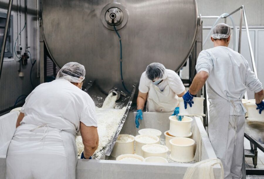 From Bologna: Emilia Excellence Food Tour - Why this seven-hour food tour works from Bologna