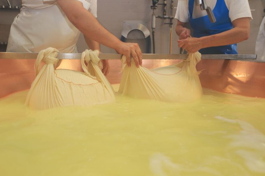 From Bologna: Emilia Excellence Food Tour - Understanding traditional balsamic vinegar in Modena