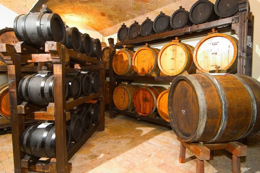 From Bologna: Emilia Excellence Food Tour - What the private format really gives you