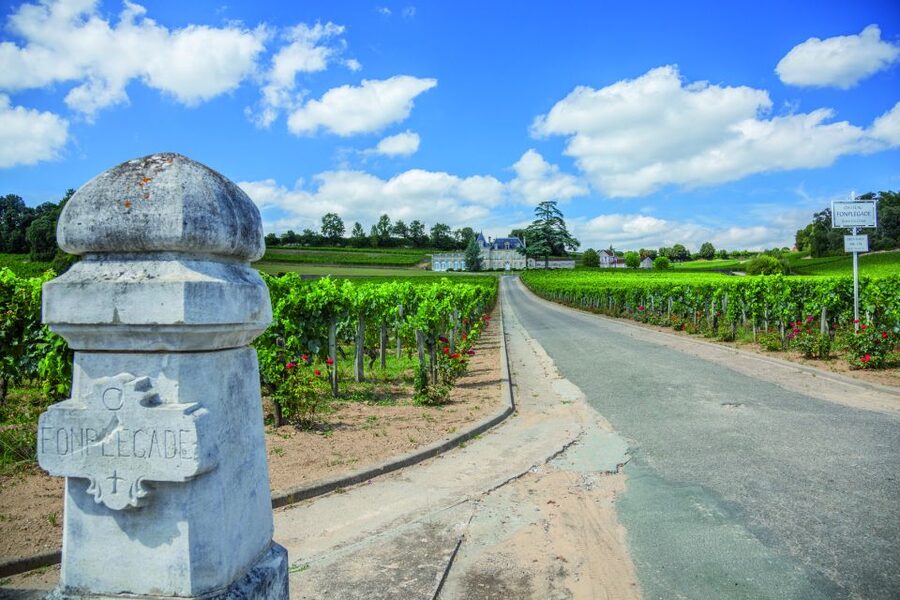 From Bordeaux: Full-Day St Emilion Wine Tasting Tour - Why this makes a good Bordeaux day trip