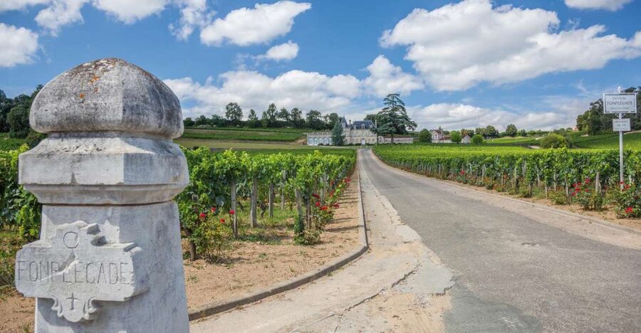 From Bordeaux: Full-Day St Emilion Wine Tasting Tour - The Right Bank in plain English