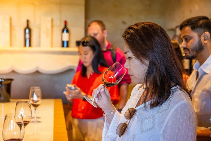 From Bordeaux: Saint-Emilion Guided Wine Tasting Tour - Saint-Émilion village, Romanesque stone, and steep streets