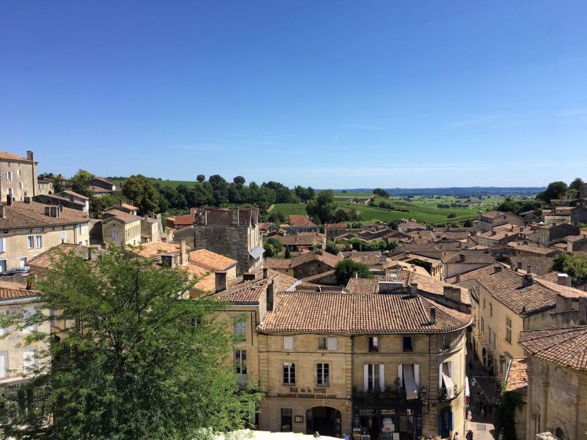 From Bordeaux: Saint-Emilion Guided Wine Tasting Tour - The family winery and the best food pairing