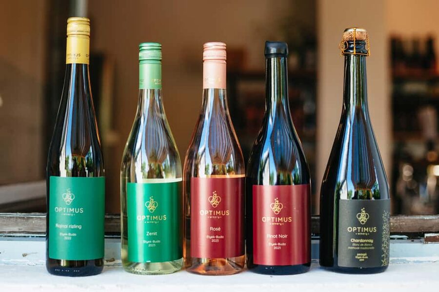 From Budapest: Etyek Wine Tasting Tour with 3-Course Meal - The guide can shape the whole afternoon