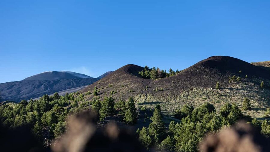 From Catania: trek on Mount Etna, Lava Cave & tasting Tour - Who should book this Etna day?