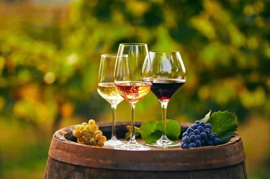 From Chania: Olive Oil, Wine, Cheese & Honey Tasting Tour - The best parts of this Cretan food tour