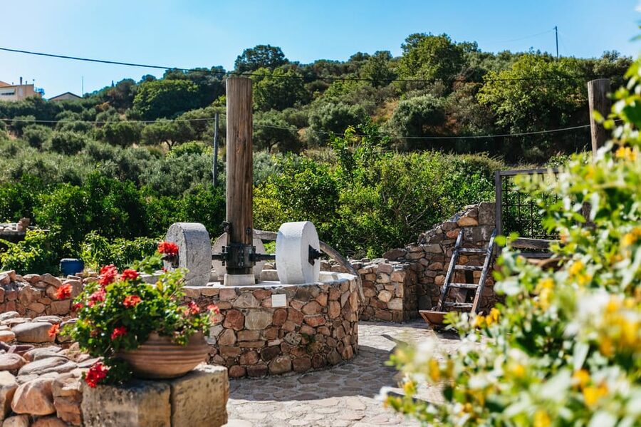From Chania: Wine and Olive Oil Tasting Tour with Snacks - How Cretan olive oil reaches your table