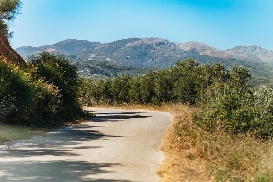 From Chania: Wine and Olive Oil Tasting Tour with Snacks - Ending with Tsikoudia
