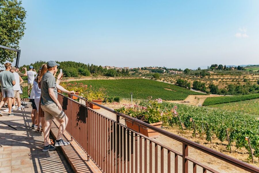 From Florence: Small Group Wine Tasting Tour to Tuscany - First estate: cellar methods, three wines, and olive oil