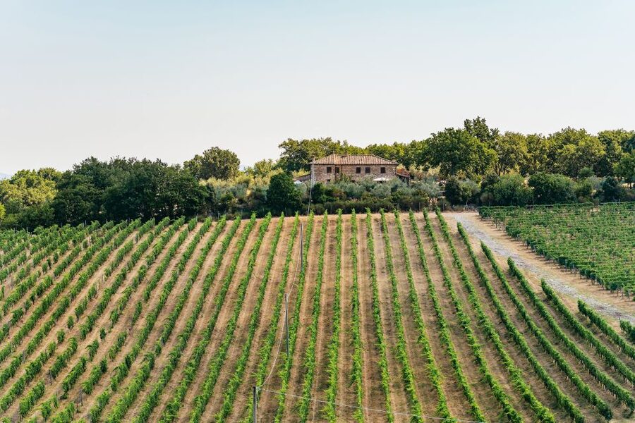 From Florence: Small Group Wine Tasting Tour to Tuscany - Timing, comfort, and practical limits