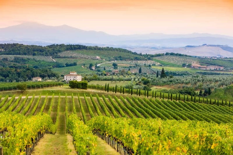 From Florence: Tuscany Wine & Food Tour with Guide - What the wine and food are really like
