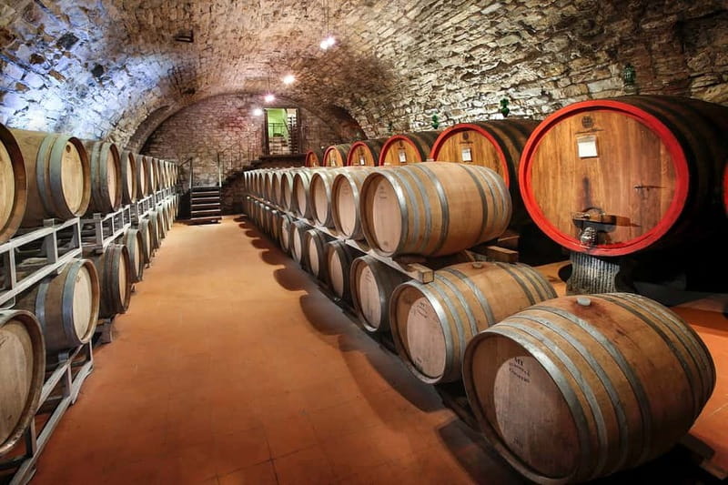 From Florence: Tuscany Wine & Food Tour with Guide - First winery: wine from vineyard to cellar