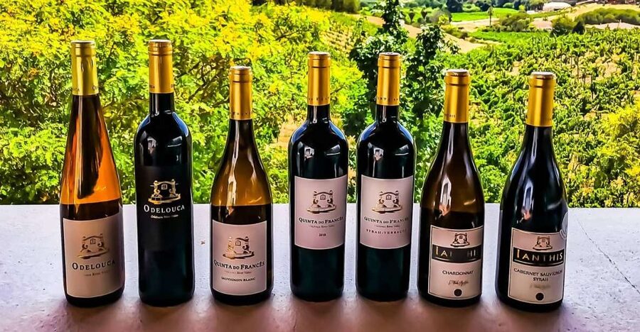 From Lagos: Small-Group 4-Hour Wine Tasting Tour - Leaving Lagos in a minivan