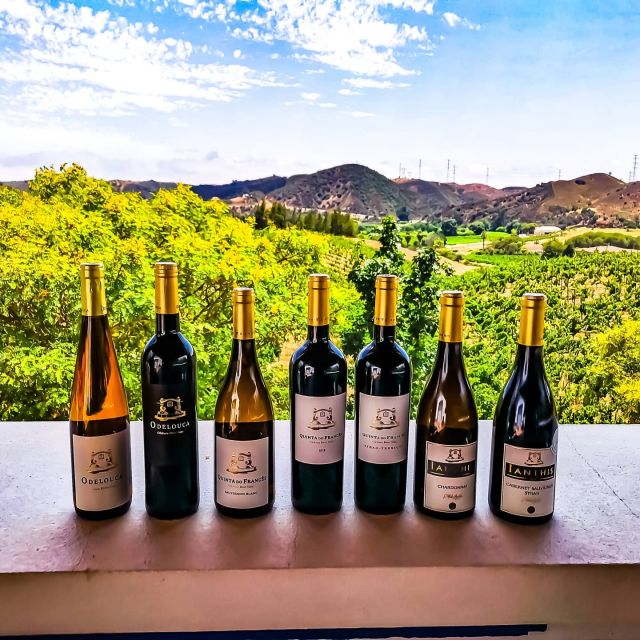 From Lagos: Small-Group 4-Hour Wine Tasting Tour - A local winery for two and a half hours