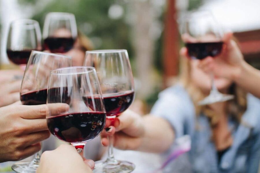 From Lagos: Small-Group 4-Hour Wine Tasting Tour - Forty-five minutes in Moorish Silves