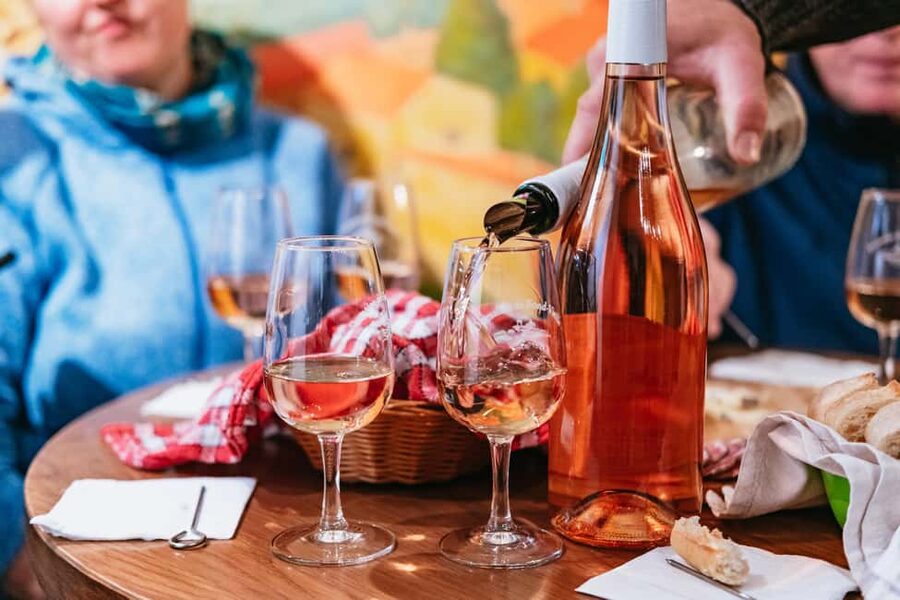 From Lyon: Golden Stones Beaujolais Wine Tasting Tour - Meeting a Beaujolais winemaker