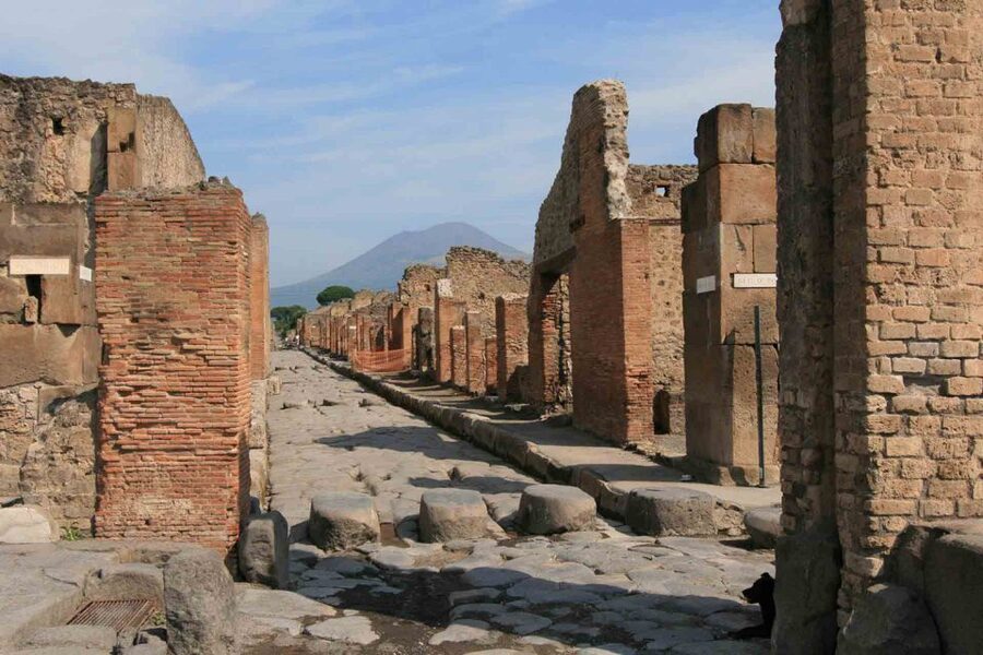 From Naples: Pompeii and Wine Tasting Tour with Lunch - Who should book this Pompeii and wine tour?