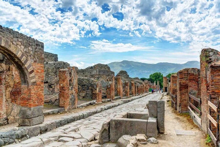 From Naples: Pompeii and Wine Tasting Tour with Lunch - Wine on the slopes of Vesuvius