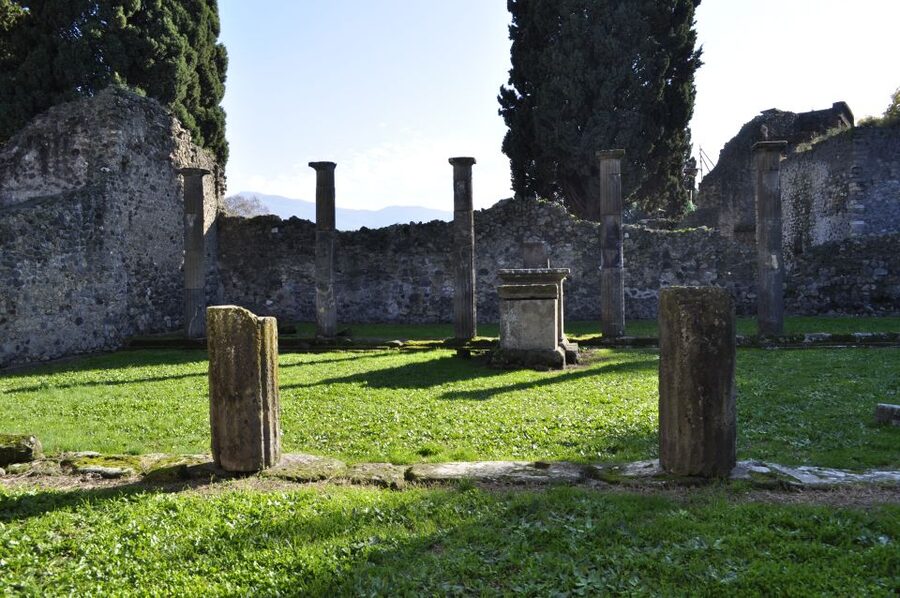 From Naples: Pompeii and Wine Tasting Tour with Lunch - The lunch is a real part of the value