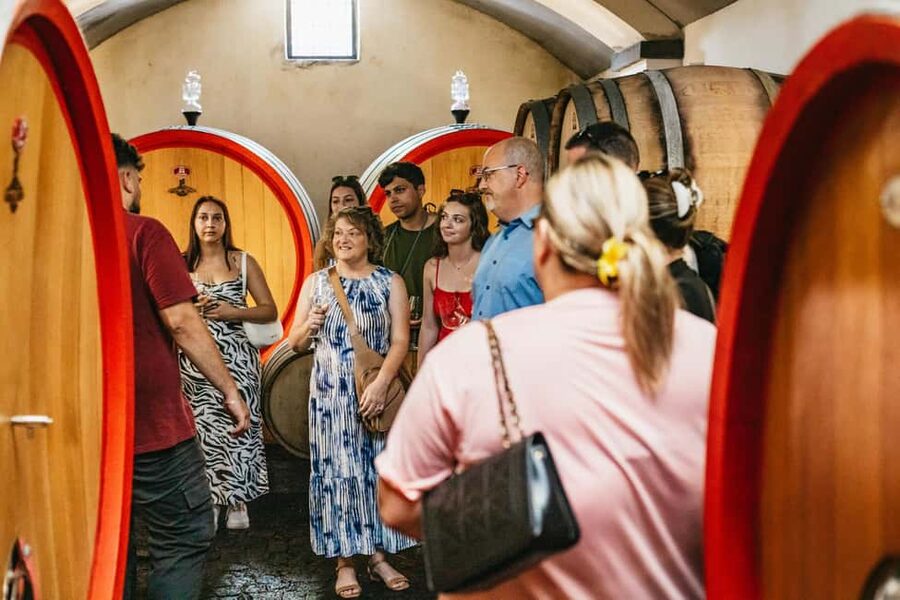 From Naples: Wine Tasting Tour on Vesuvius Slopes with Lunch - The guides add value on the road