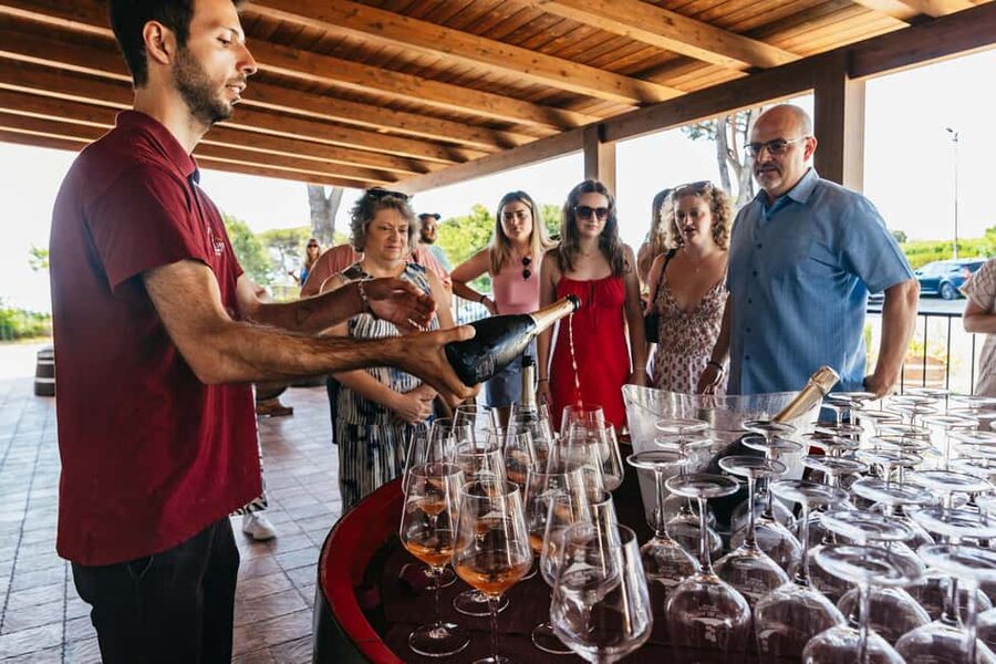 From Naples: Wine Tasting Tour on Vesuvius Slopes with Lunch - Time to wander, take photos, and shop