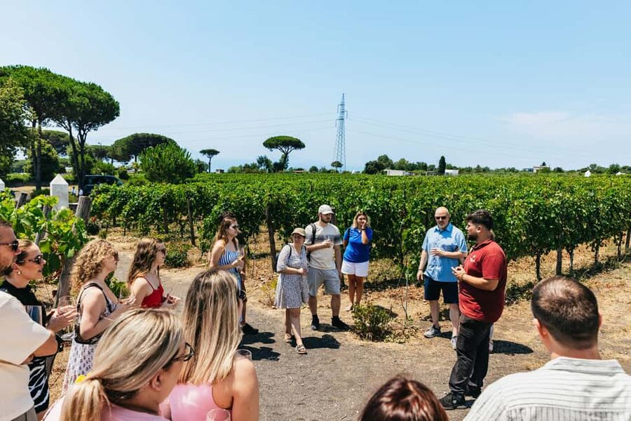 From Naples: Wine Tasting Tour on Vesuvius Slopes with Lunch - Is four hours enough?