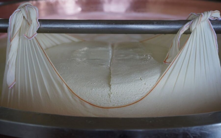 From Parma: Parmigiano and Parma Ham Guided Food Tour - The Parmigiano Reggiano caseificio