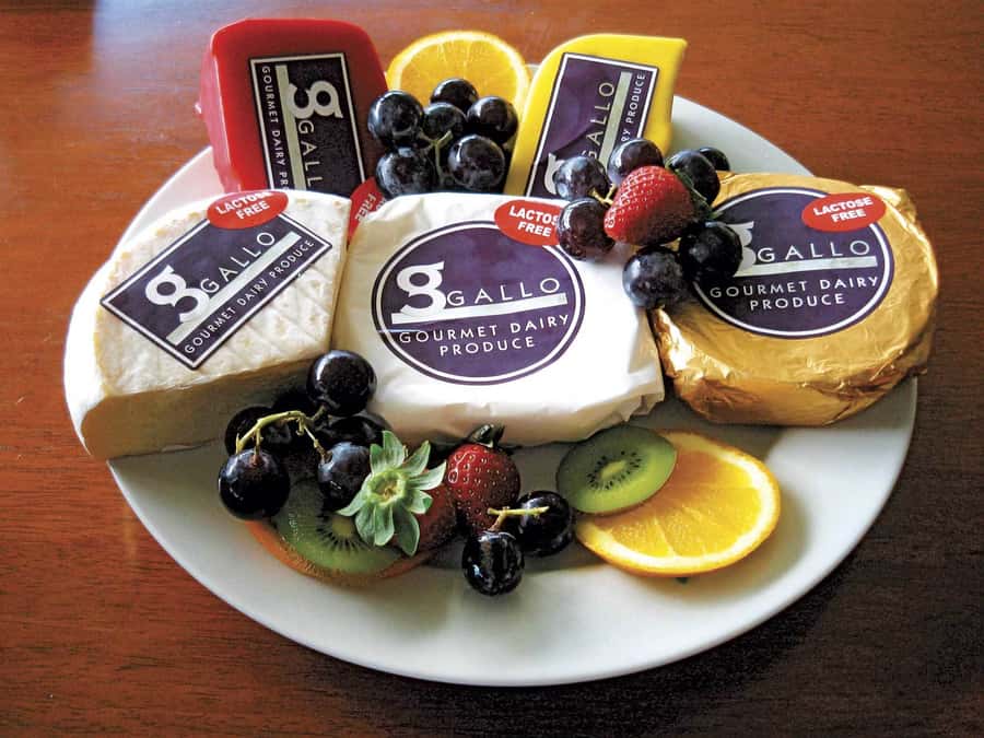 From Port Douglas: Atherton Tablelands Adventure - Cheese and chocolate at Gallo Dairyland
