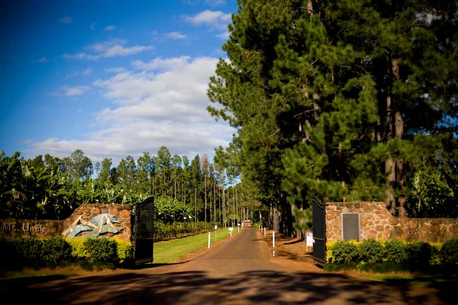 From Port Douglas: Atherton Tablelands Adventure - Spirits with a North Queensland connection