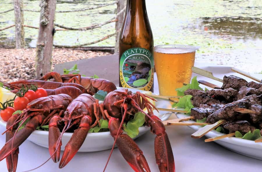 From Port Douglas: Atherton Tablelands Adventure - The guides are a major part of the experience