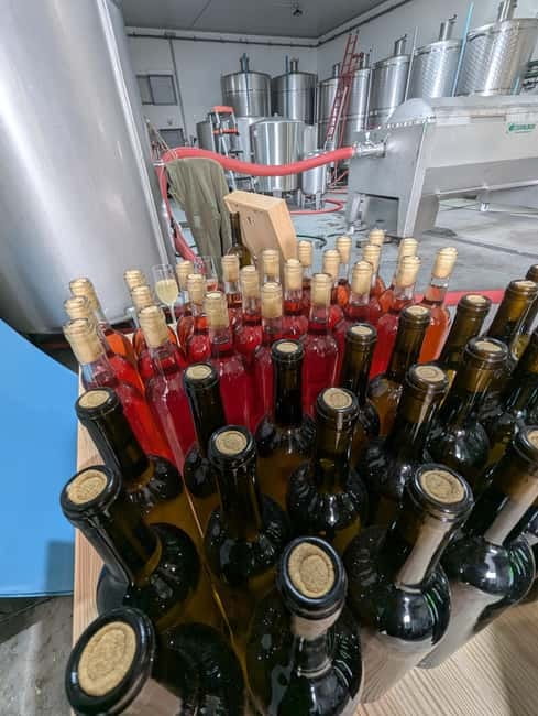 From Porto: 2 Wine Regions, Farm-to-Table Lunch & Boat - Pinhão and the one-hour Douro cruise