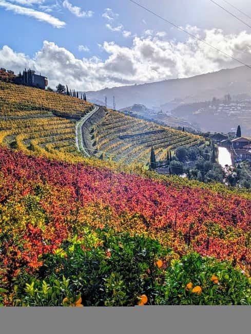 From Porto: 2 Wine Regions, Farm-to-Table Lunch & Boat - What the guides add to the day