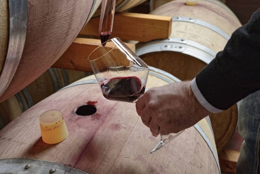 From Sorrento: Full-Day Pompeii & Wine Tasting Tour - Is $147.27 a fair price?