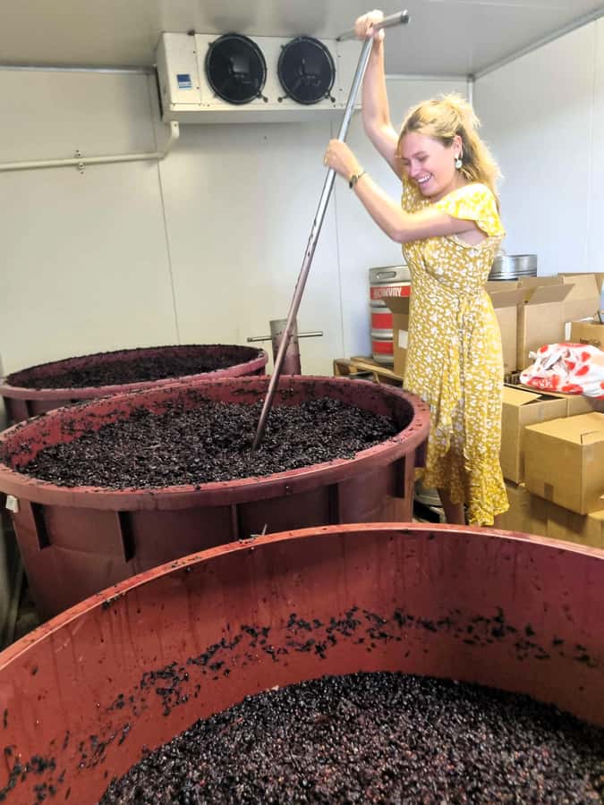 From Sydney: Hunter Valley Wine, Gin & Food Tastings Tour - Key points to know before booking