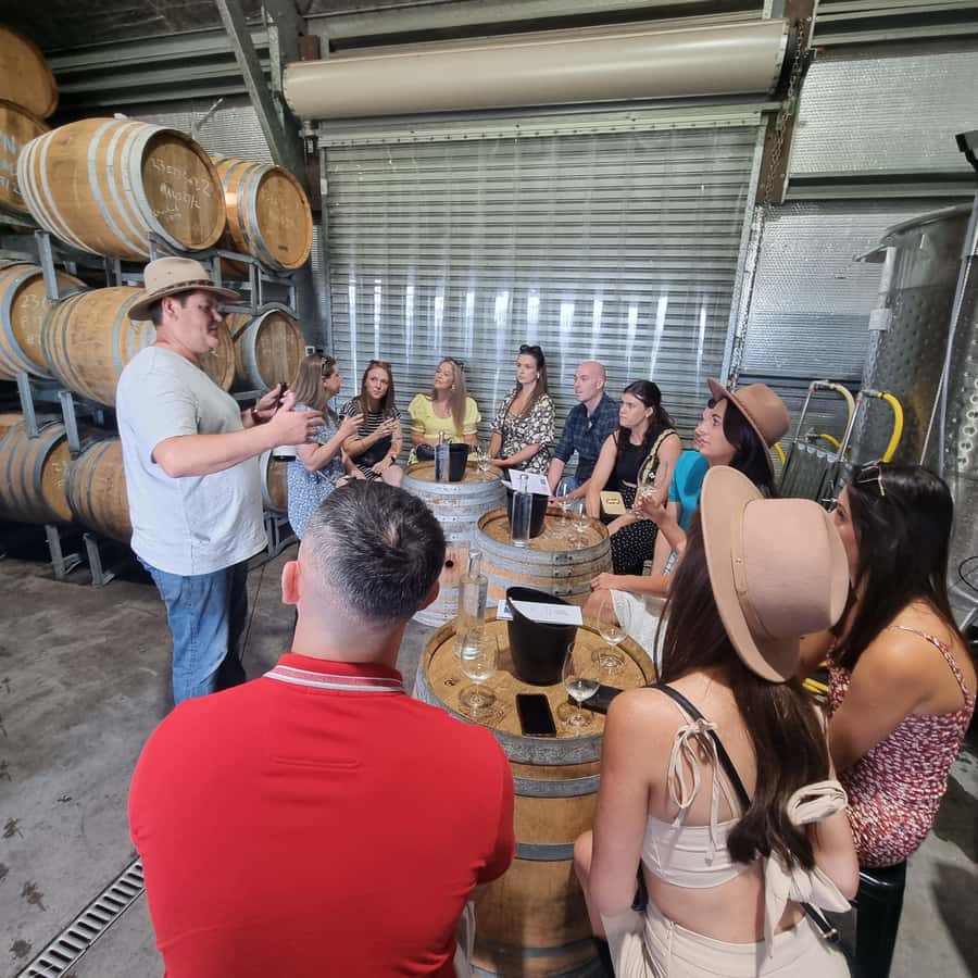 From Sydney: Hunter Valley Wine, Gin & Food Tastings Tour - Why this Hunter Valley day trip works