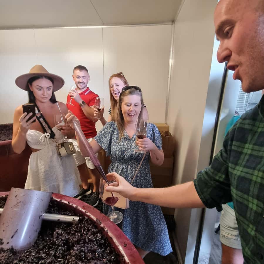 From Sydney: Hunter Valley Wine, Gin & Food Tastings Tour - The guide can make or break the day