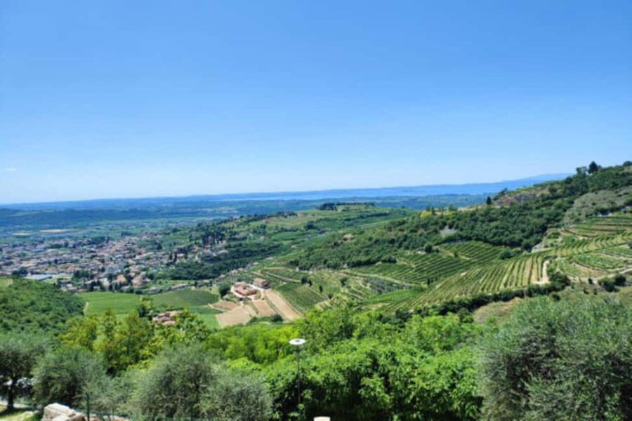 From Verona: Amarone Half-Day Wine Tasting Tour - Key points at a glance