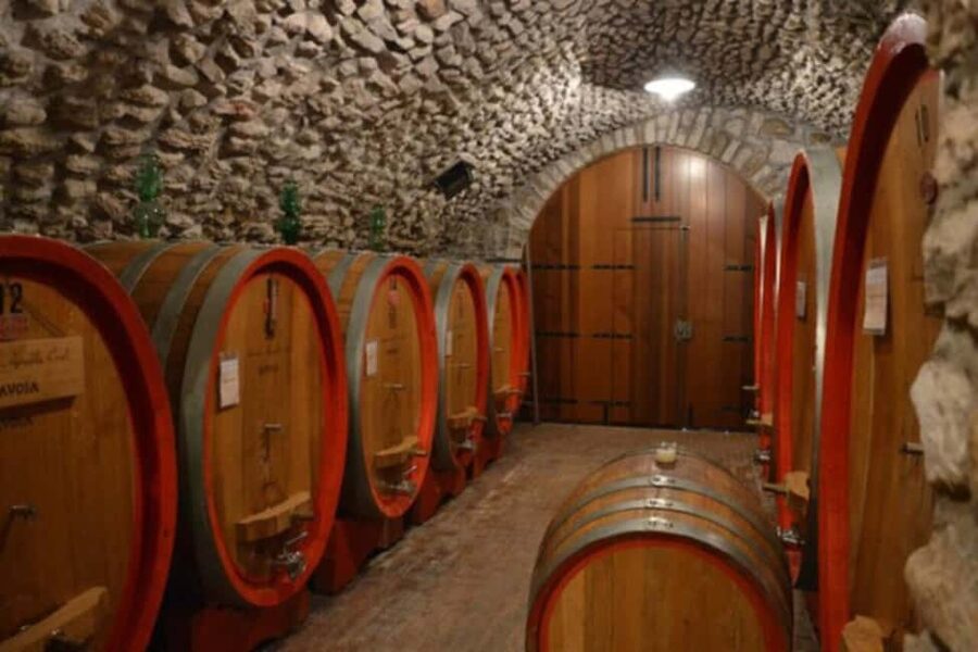 From Verona: Amarone Half-Day Wine Tasting Tour - Who should book this Valpolicella outing