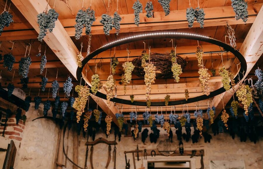 From Verona: Valpolicella and Amarone Wine Tasting Tour - Who should choose this tour