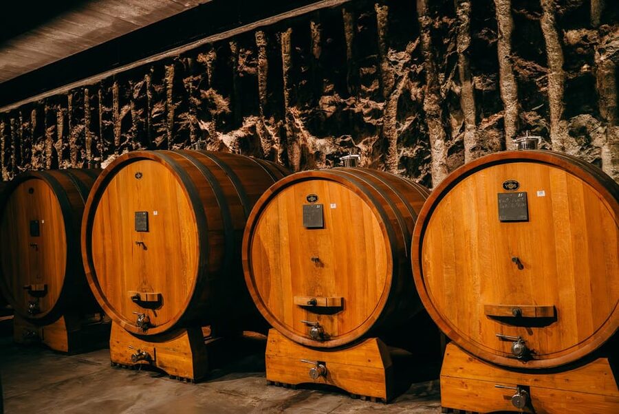 From Verona: Valpolicella and Amarone Wine Tasting Tour - Why Valpolicella makes a good half-day trip from Verona
