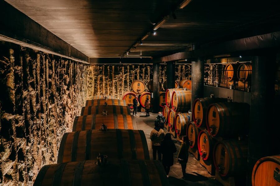 From Verona: Valpolicella and Amarone Wine Tasting Tour - The 30-minute ride into wine country