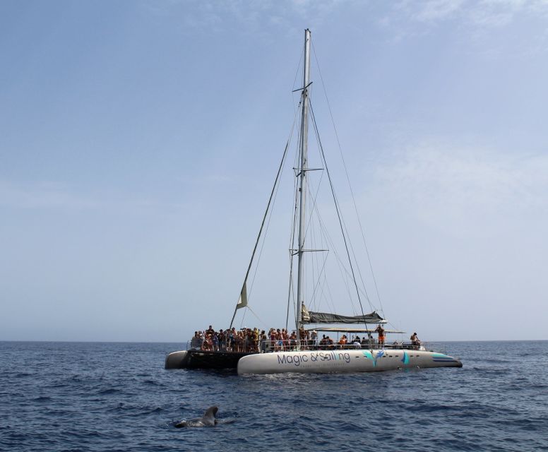 Fuerteventura: Magic Catamaran Trip with Food and Drinks - Booking details worth checking before you go