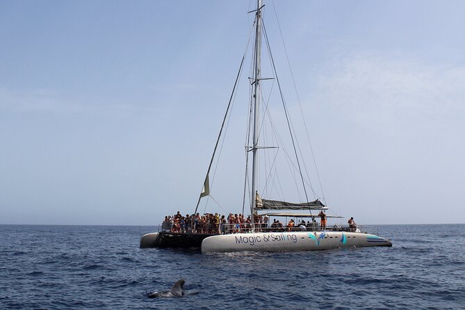 Fuerteventura: Magic Select Catamaran Trip with Food & Drinks - Is $93.12 good value?