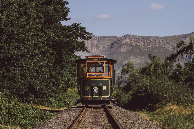 Full-Day Stellenbosch, Franschhoek and Paarl Wine Tasting Tour from Cape Town - Starting from Cape Town at 8:00 a.m.