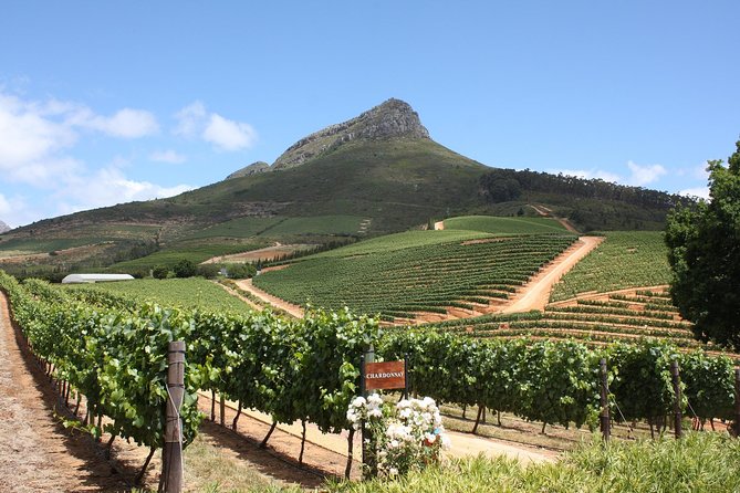 Full-Day Stellenbosch, Franschhoek and Paarl Wine Tasting Tour from Cape Town - Paarl and the Nelson Mandela connection