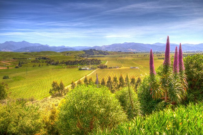 Full-Day Wine Gourmet and Scenic Delight Tour of Marlborough from Blenheim - Key points to know before booking